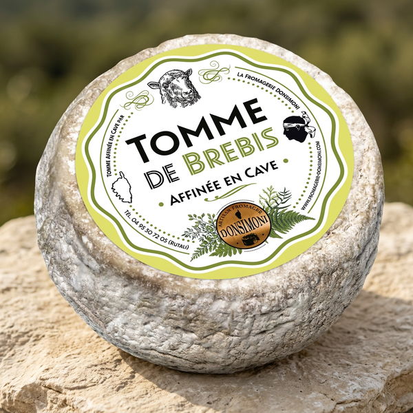 Tomme de brebis sur pierre claire avec fond de maquis